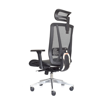 Silla Nefi Presidente