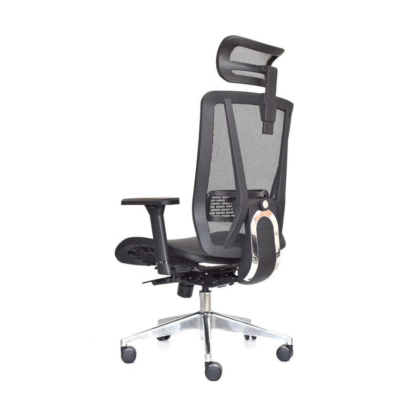 Silla Nefi Presidente