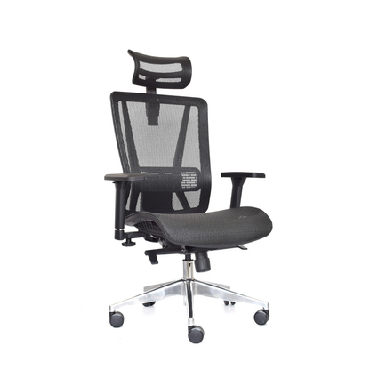 Silla Nefi Presidente