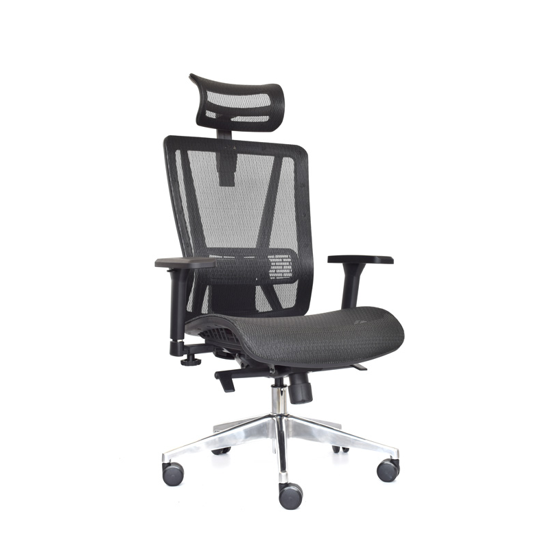 Silla Nefi Presidente