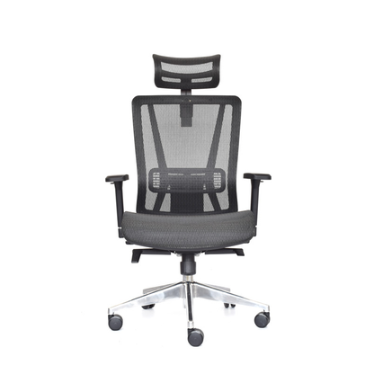 Silla Nefi Presidente