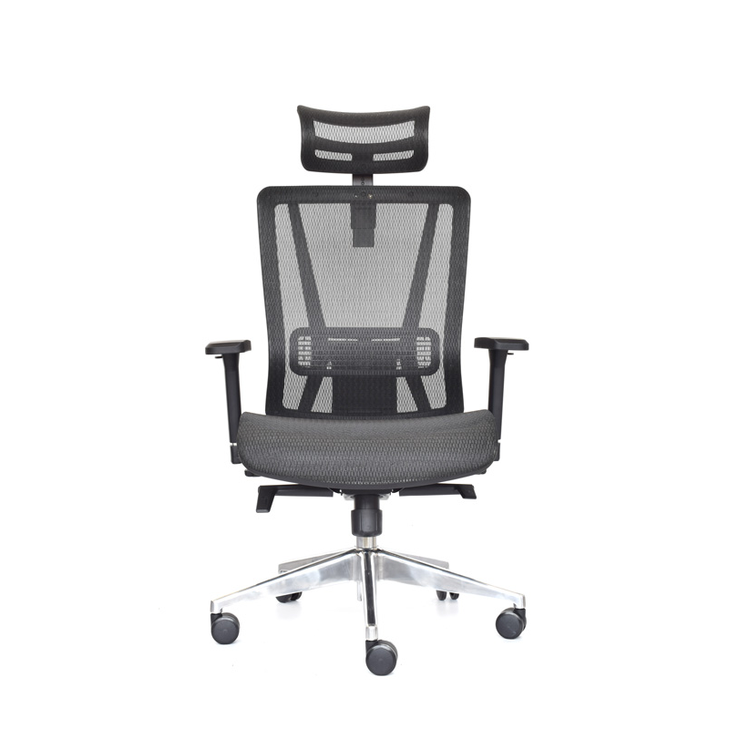Silla Nefi Presidente